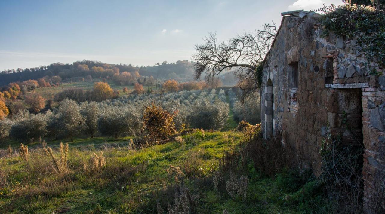 Villa Monteporzano Orvieto Habitación foto